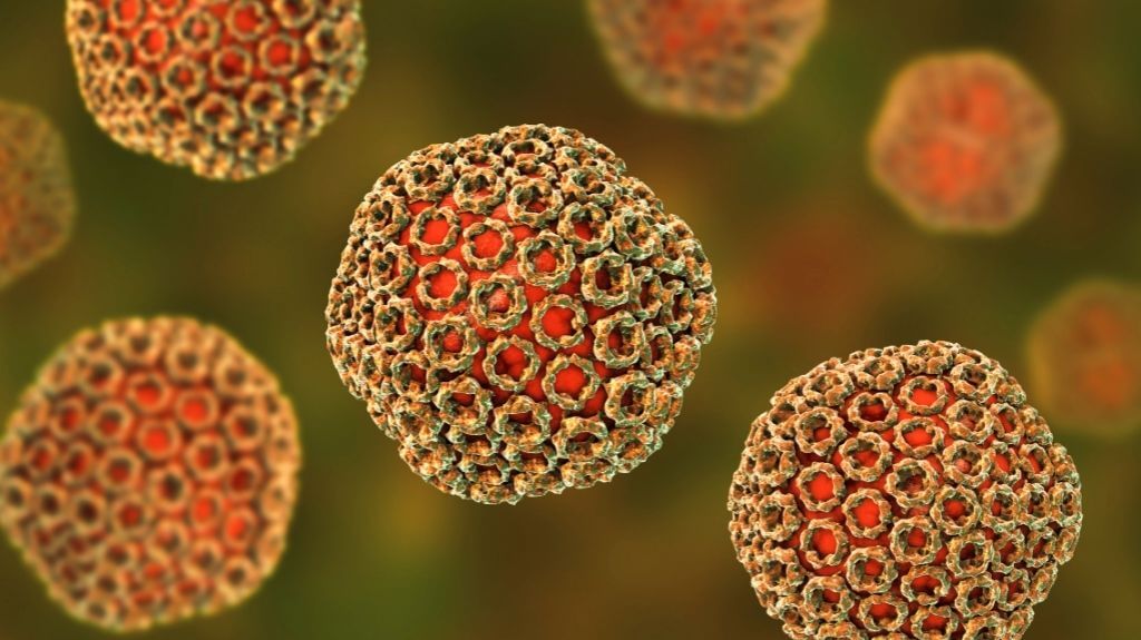 How much do you know about the risks posed by Valley Fever